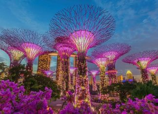 Bí kíp du lịch Singapore mới nhất 2023 cho những mới đến lần đầu